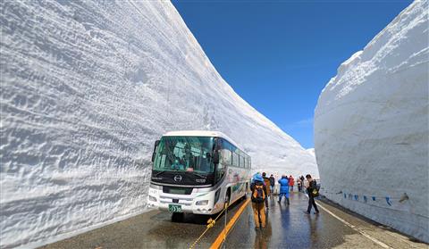 雪の大谷4/15〜6/25予定